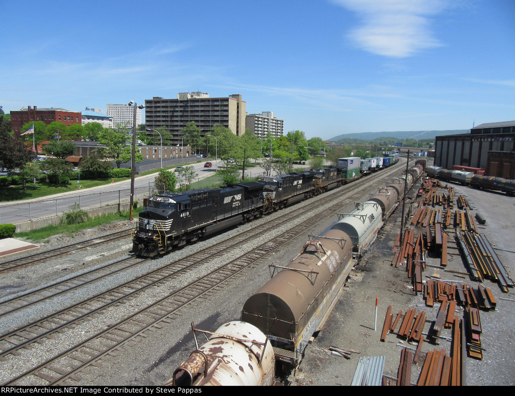 NS 4619 leads a train